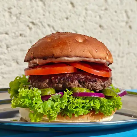 Burger Sami swoi